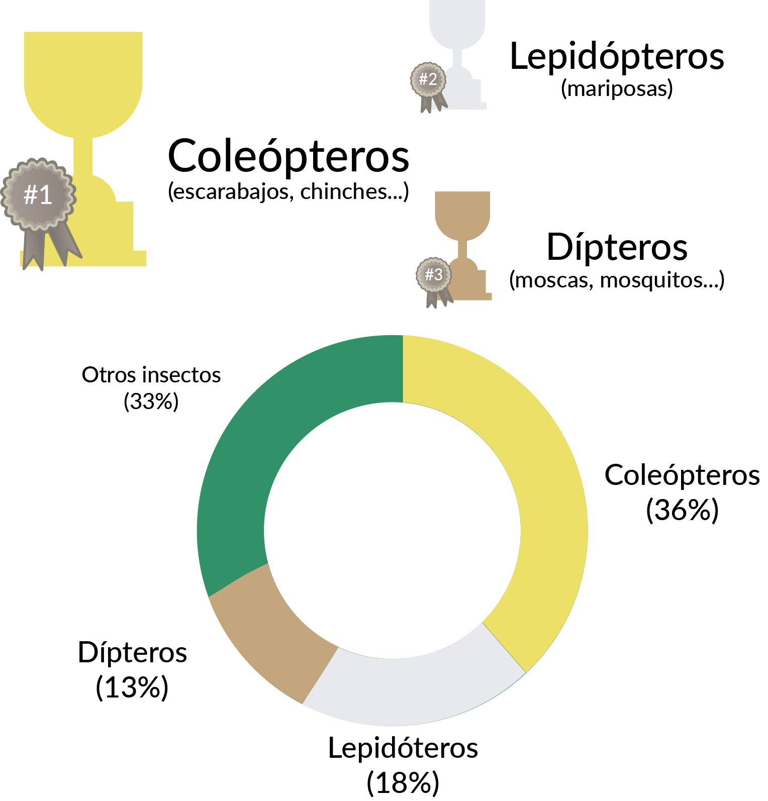 Los coleópteros con el grupo más abundante de insectos, seguidos de los lepidópteros y, en tercer lugar, de los dípteros.