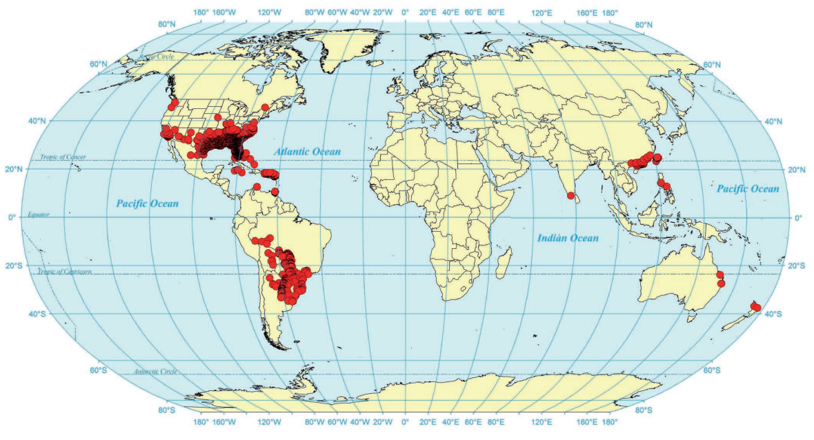 Distribución mundial de S. invicta. Se aprecia notablemente la expansión de esta especie invasora por el sur de los Estados Unidos, así como los avisos de hormigueros en algunas regiones de Asia y Australia