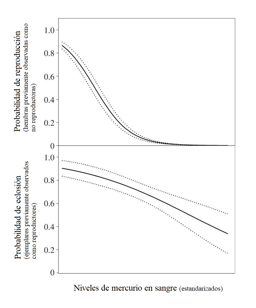 Relación entre los niveles de mercurio en sangre y las probabilidades de reproducción y eclosión en el albatros viajero (Diomedea exulans). Fuente: traducida de Goutte et al. (2014). 