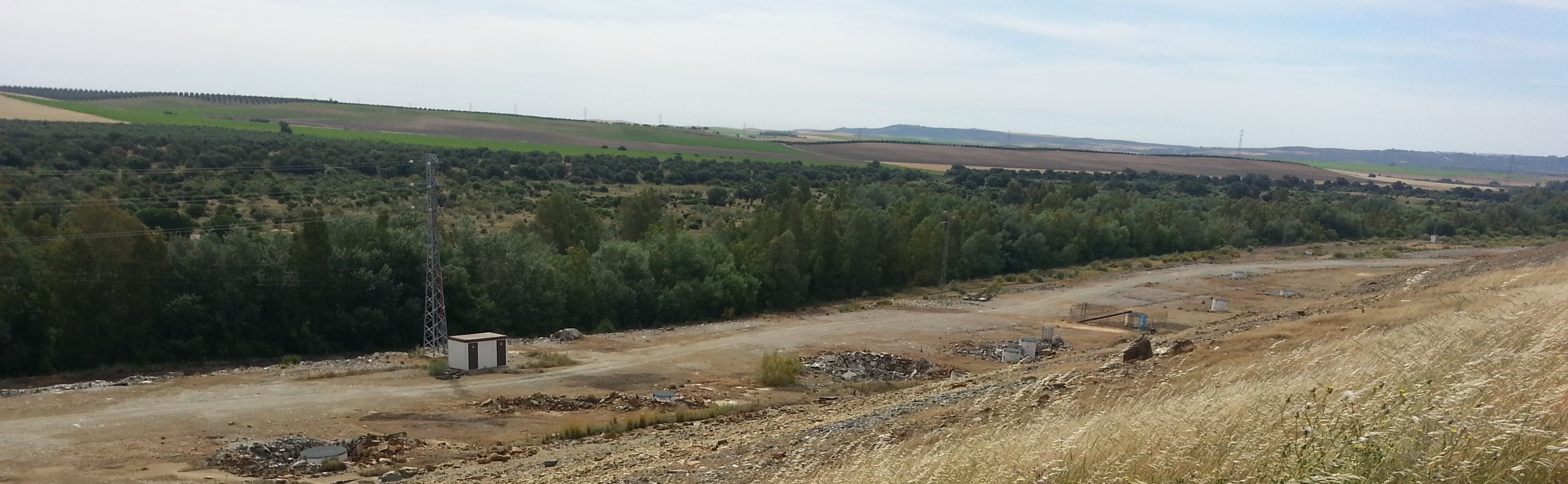 Estado del Corredor Verde del Guadiamar en 2017. Vista desde la balsa donde se originó el vertido. 