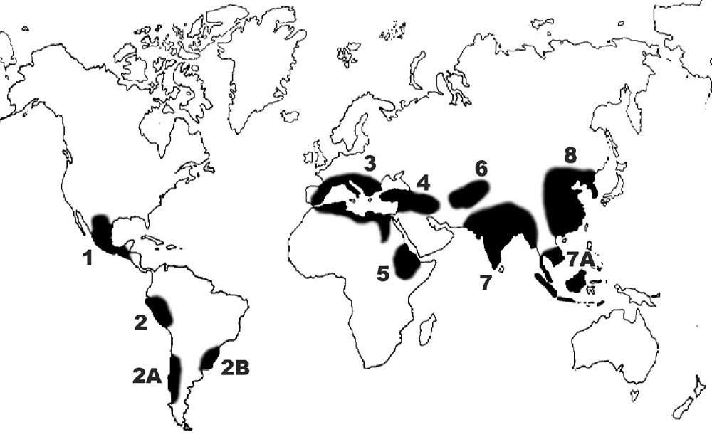 Centros de origen de Nikolai Vavilov (por Redwoodseed/Wikipedia)