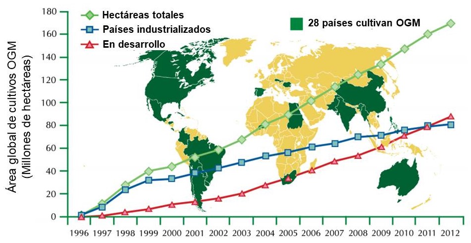 Producción de cultivos biotecnológicos. Datos en millones de hectáreas procedentes de ISAAA (The Internacional Service for the Acquisition of Agriobiotech Applications - hyp://www.isaaa.org Clive James, 2012).