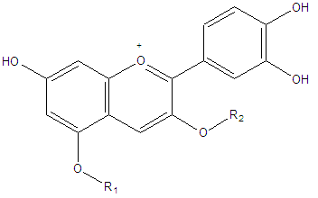 Estructura química de una antocianina.
