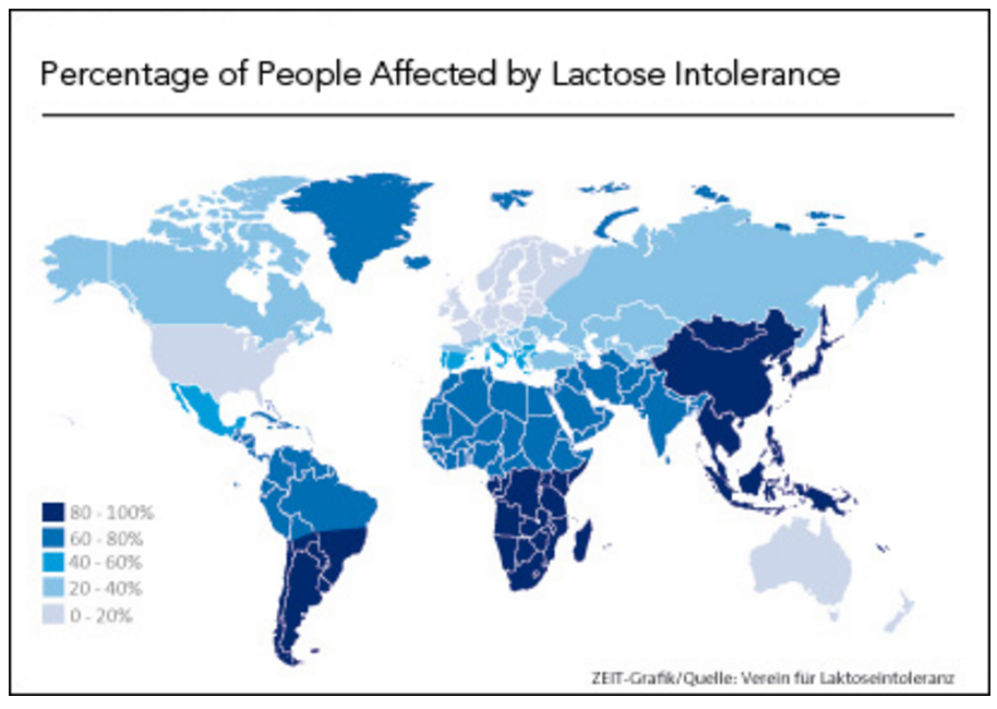 Mapa donde se muestran, de forma orientativa, las regiones donde hay mayor predominio de la intolerancia a la lactosa. Leído en negativo, podemos deducir también las regiones donde se ha extendido la mutación que permite a sus portadores digerir la leche de adultos.