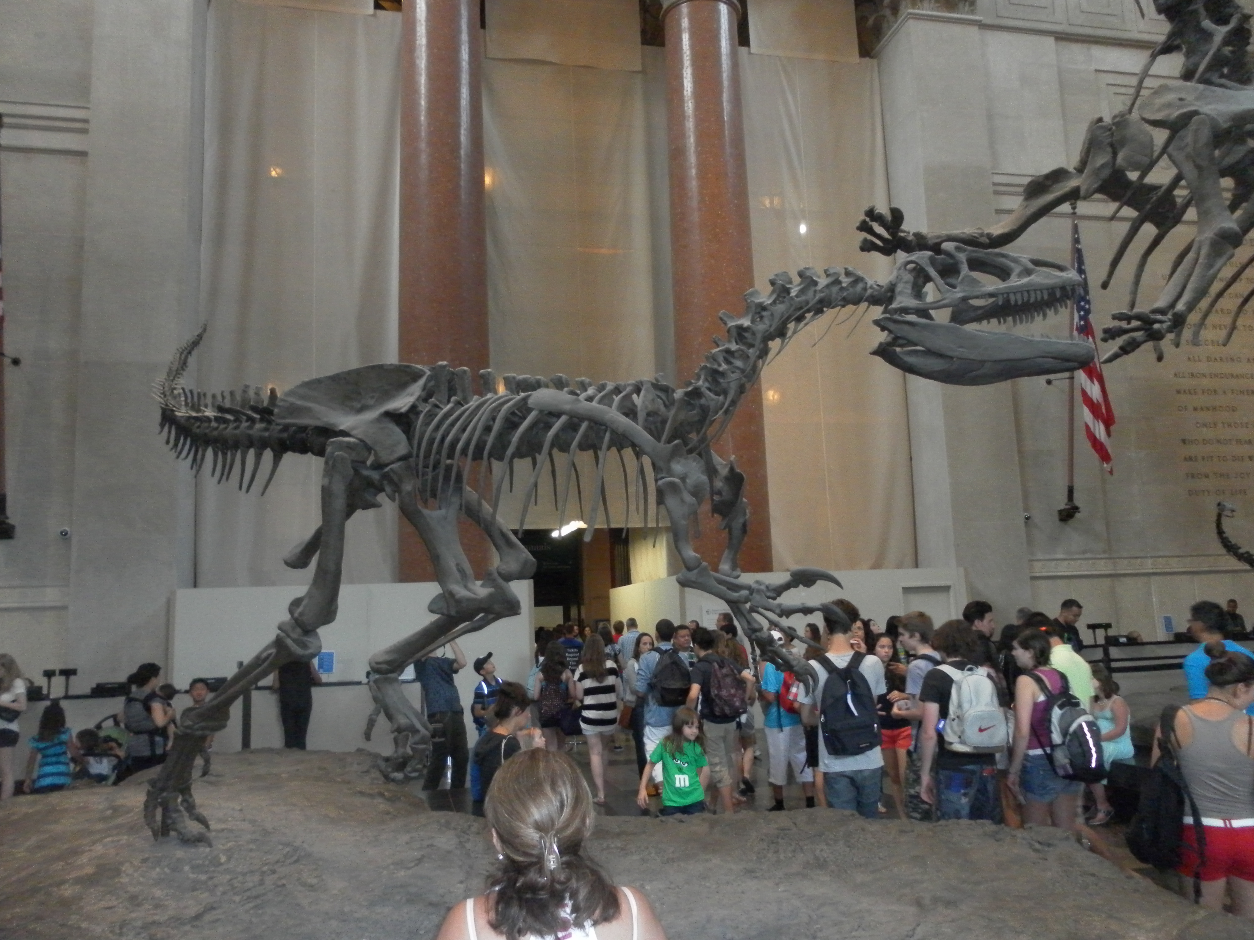 Fotografía propia de Juan de Dios Franco Navarro, Museo de Historia Natural de Nueva York, 2012.