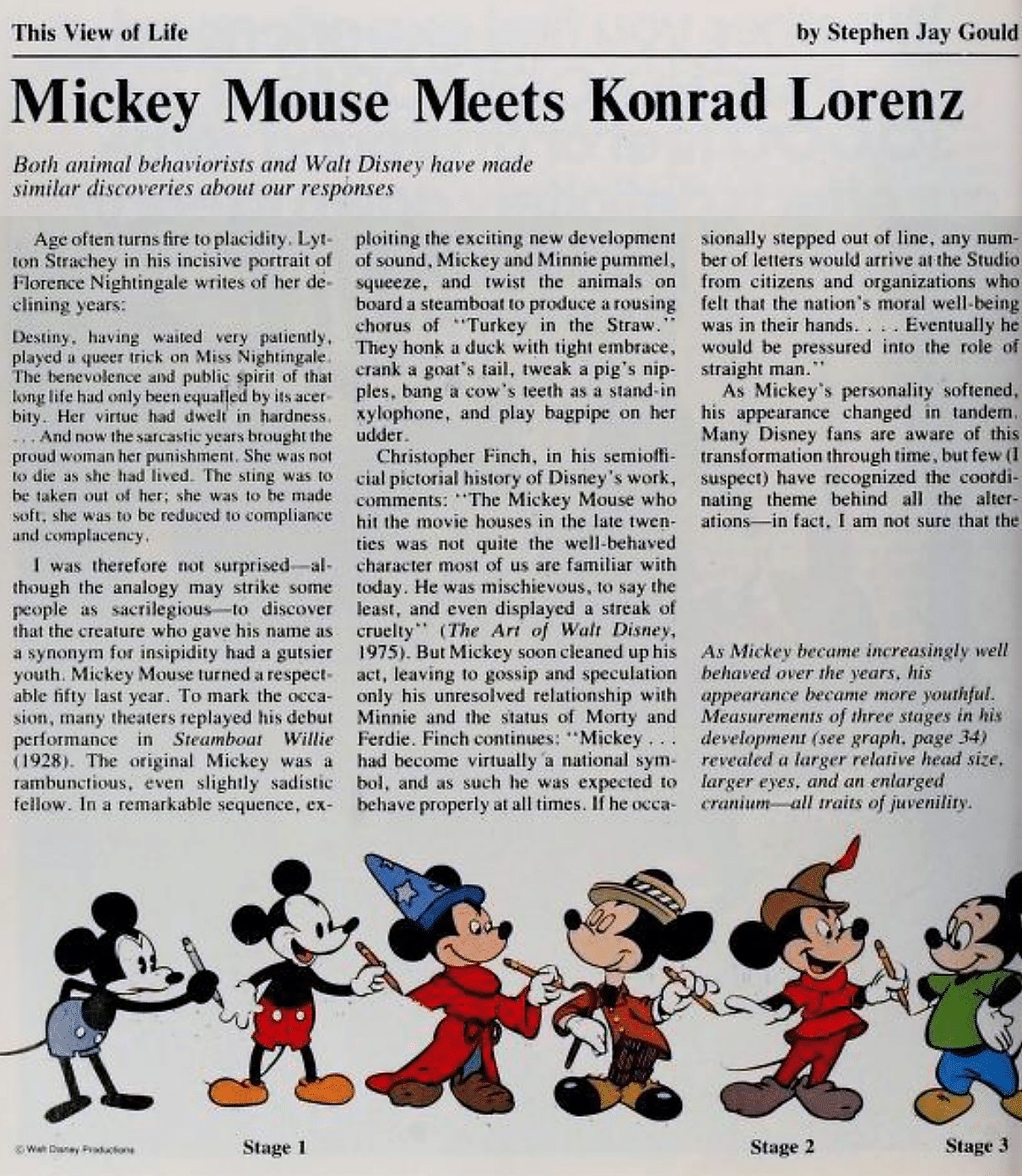 Primera página del ensayo Mickey Mouse meets Konrad Lorenz. Gould, Stephen Jay. Mickey mouse meets konrad lorenz. Natural History 88.5 (1979): 30-36.