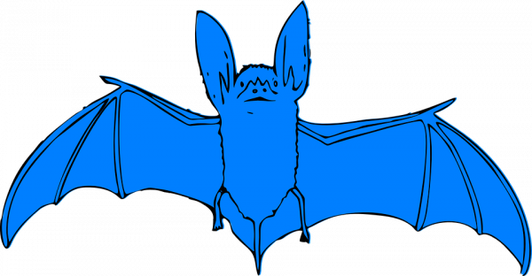 Forma general de un murciélago, destacando las largas orejas, los huesos de la mano modificados y la membrana del patagio que constituye las alas.