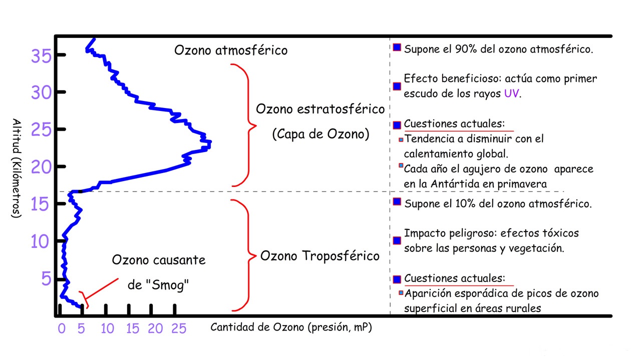Infografía de T&E sobre el efecto de los gases emitidos por coches diésel vs. coches de gasolina. Infografía de T&E sobre el efecto de los gases emitidos por coches diésel vs. coches de gasolina.