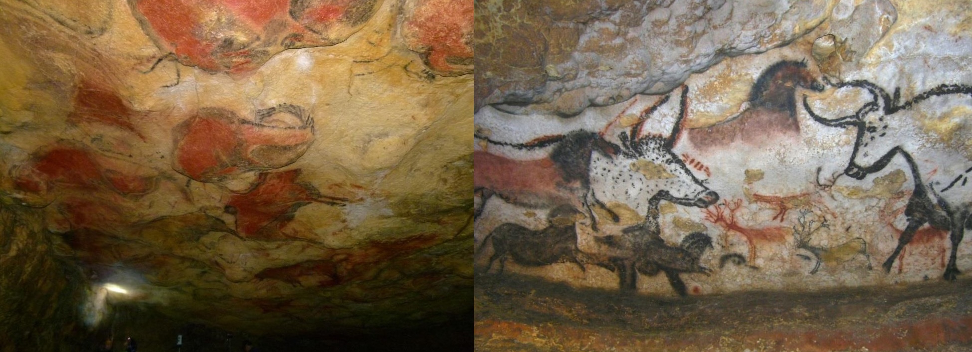 Sala de Polícromos, Cueva de Altamira (izquierda). Sala de los Toros, Cueva de Lascaux (derecha). Autor: Cesáreo Sáiz Jiménez.
