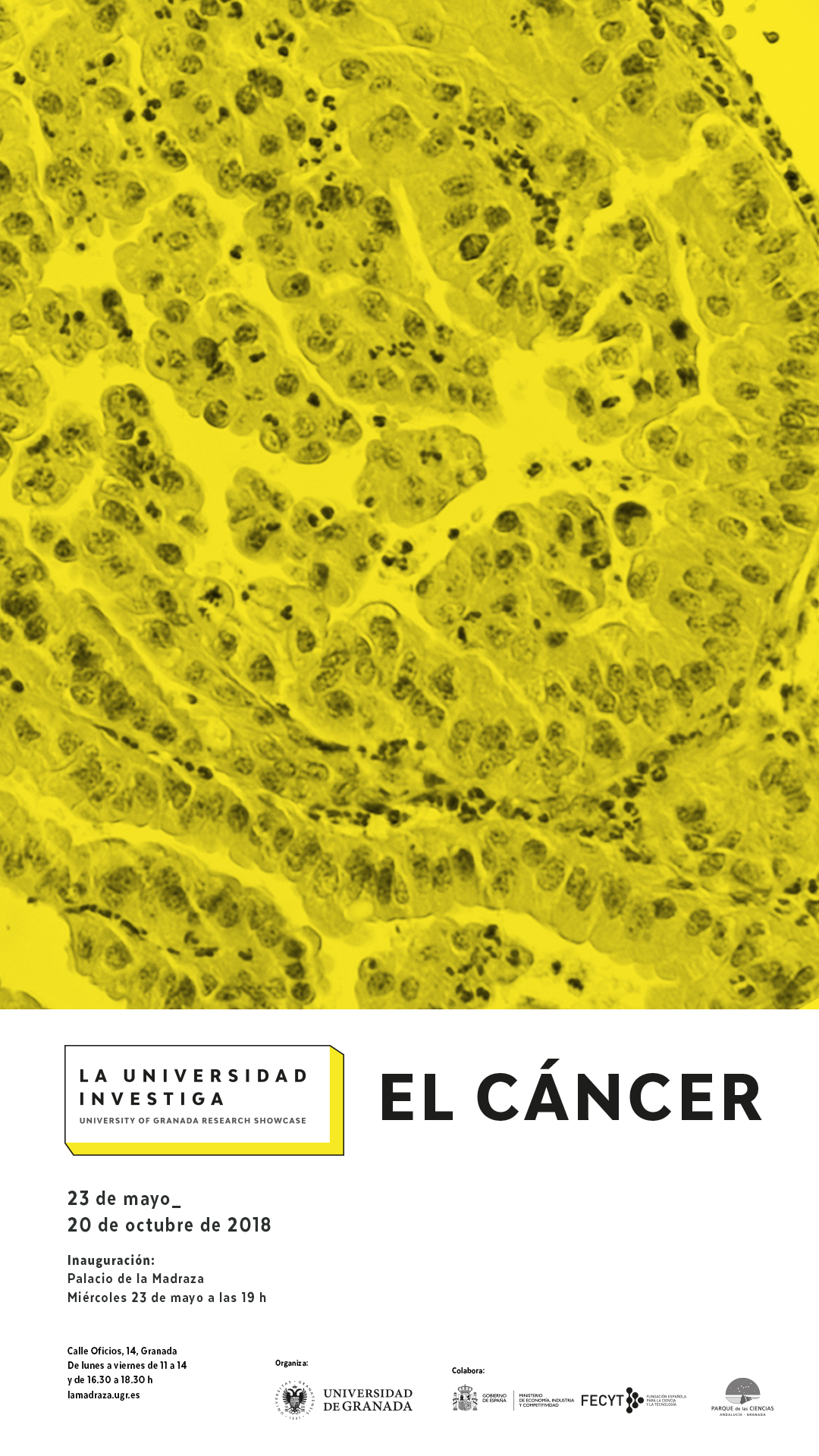 La Universidad Investiga: El Cáncer en Granada (23 mayo al 20 octubre de 2018 GRANADA)