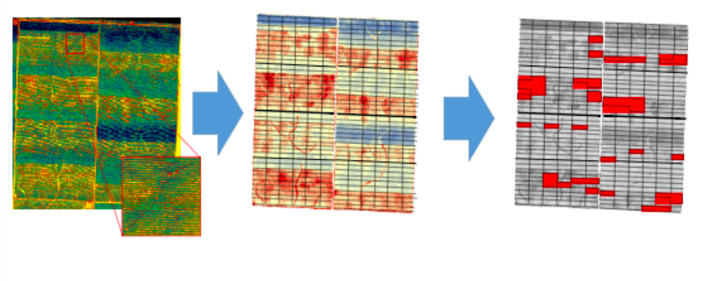 Interpretación de una imagen térmica adquirida sobre una parcela de pistachero. A: Imagen térmica de muy alta resolución, B: mapa de CWSI, C: identificación de parcelas sometidas a un mayor estrés hídrico.