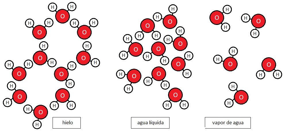 Esquema de las estructuras que forman las moléculas de agua según su estado.