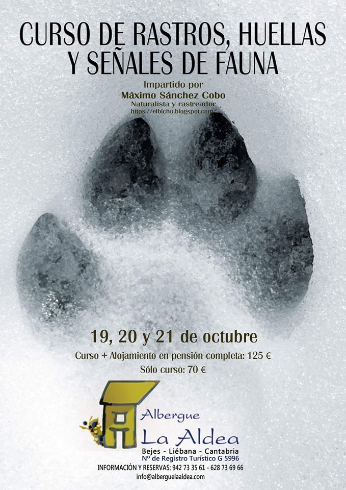 Curso de rastros, huellas y señales de fauna (19 al 21 de Octubre en Cantabria)