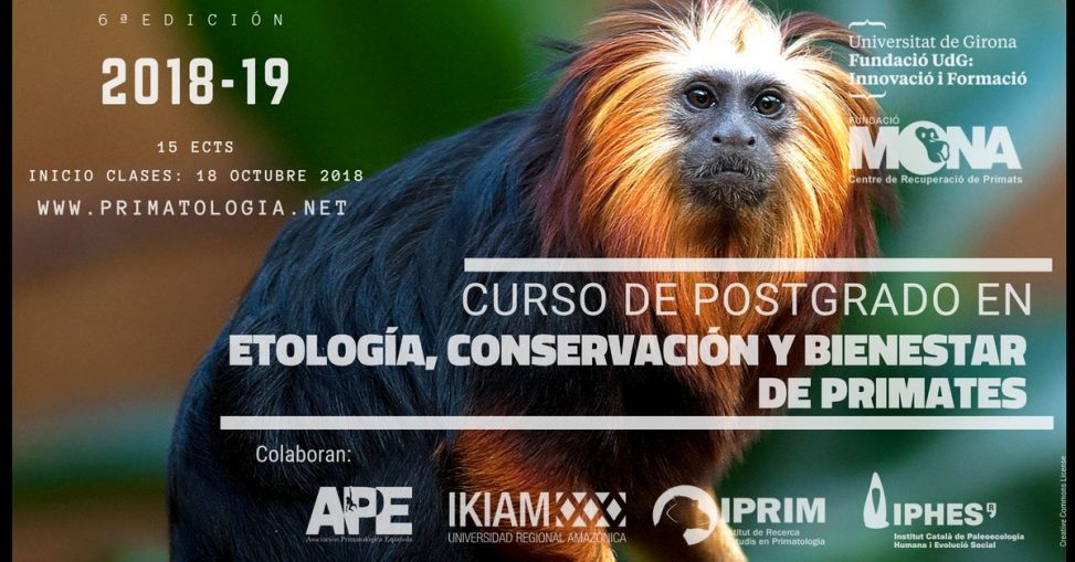 Curso Postgrado en etología, conservación y bienestar de primates (18 de octubre 2018 al 29 de marzo 2019 en Gerona)