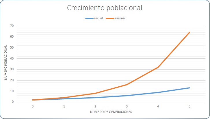 Simulación del crecimiento de dos poblaciones, una sexual y otra asexual, con dos individuos en la generación cero. Se supone disponibilidad ilimitada de recursos e individuos inmortales a lo largo de las generaciones.