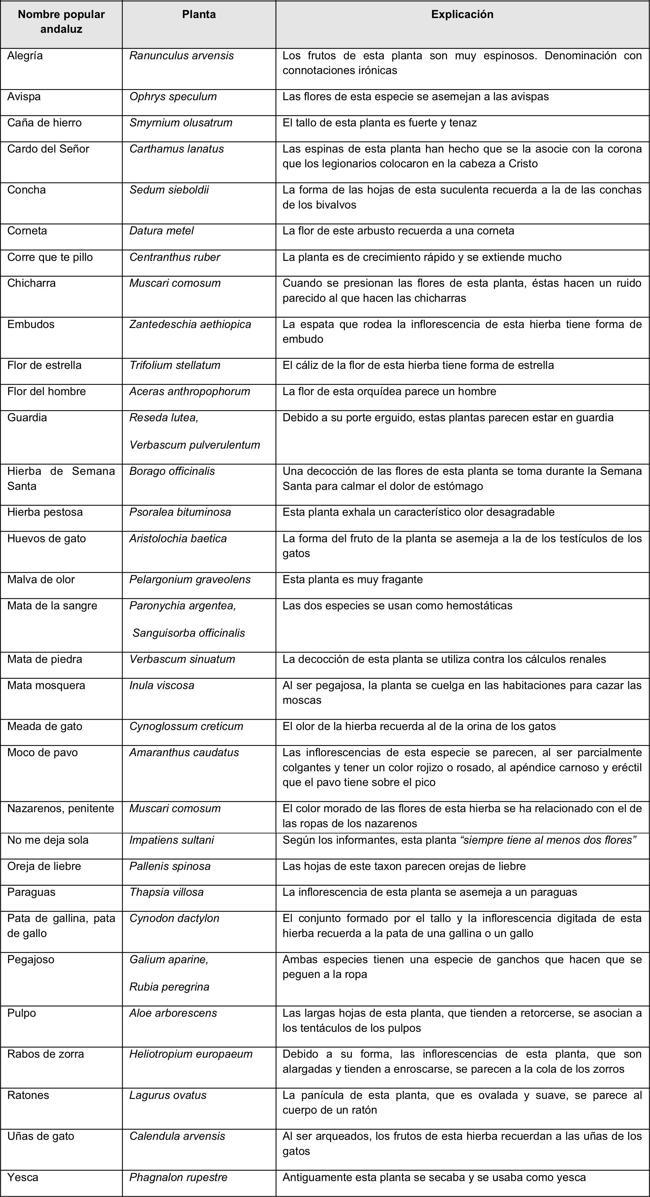Algunos de los nombres populares de plantas andaluzas recogidos por Brøndegaard con sus correspondientes explicaciones (extraído de Álvarez, 2016).