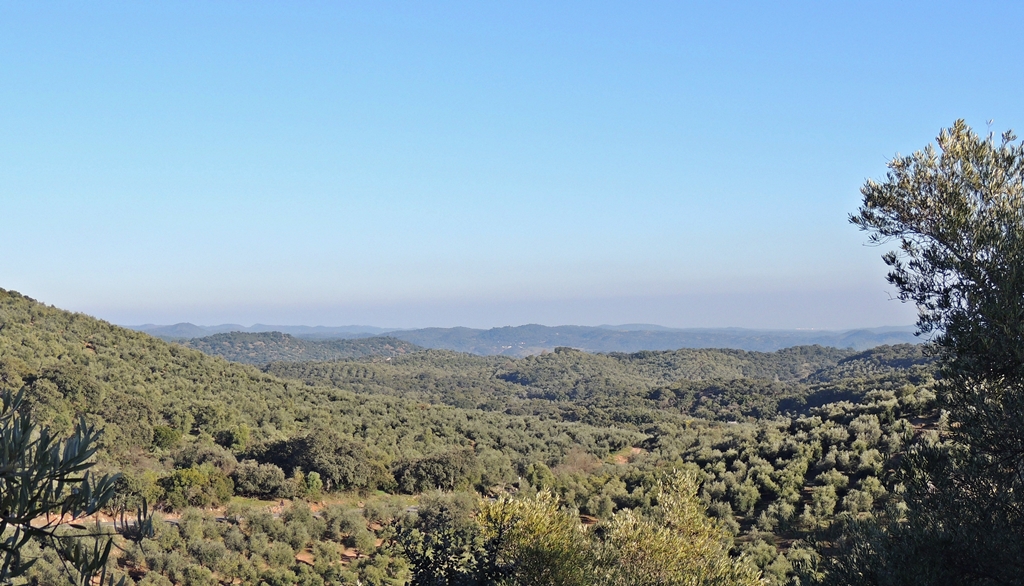 Foto paisaje típico de Sierra Morena