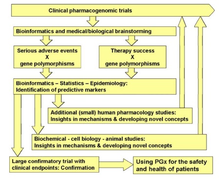 Etapas y rutas que sigue la investigación farmacogenómica. Las rutas aquí mostradas no son únicas, ya que los diferentes enfoques pueden combinarse (enfoque multidisciplinar) para obtener conocimientos farmacogenómicos valiosos que permitan desarrollar nuevas terapias o mejorar las ya existentes.