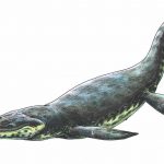 Kronosaurus - Sauropterigios