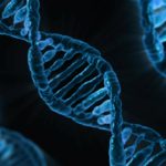 ¿El ADN y el ARN se comportan diferente al ser estiradas?