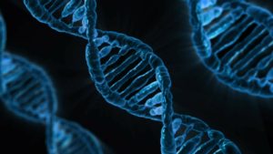 ADN y ARN se comportan diferente al ser estirados