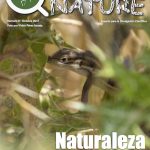 Revista Número 0 - Hidden Nature