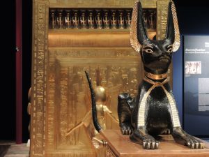 Gato sagrado para los egipcios