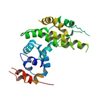 NF1 celulas cancerigenas