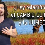 ¿Hay relación entre Cambio Climático y Humedad?