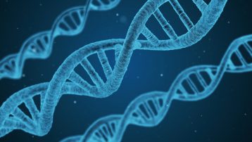 La genética es esa parte de la biología que estudia los genes y los mecanismos que regulan la transmisión de los caracteres hereditarios
