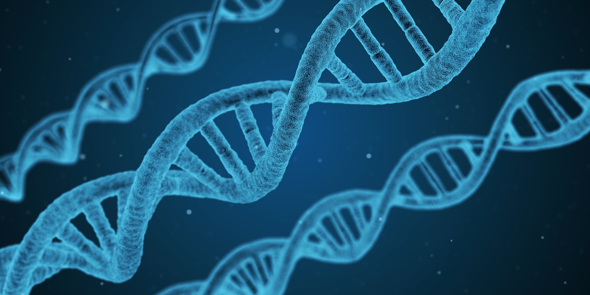La genética es esa parte de la biología que estudia los genes y los mecanismos que regulan la transmisión de los caracteres hereditarios