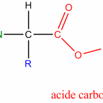 Estructura del aminoácido