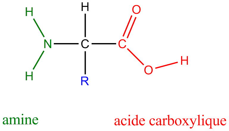 Estructura del aminoácido