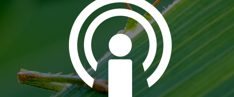 Podcasts Hidden Nature Vacunas