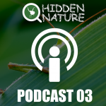 Podcast Hidden Nature - ¿Tiene un segundo para hablar de evolución?