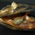 Afropinnotheres monodi cangrejo parásito de origen africano