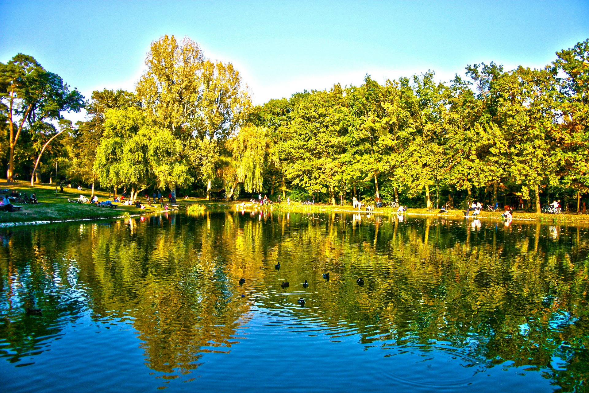 ecosistema terrestre bosque