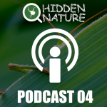 Podcasts HN 4 - Nuestro amigo el ADN