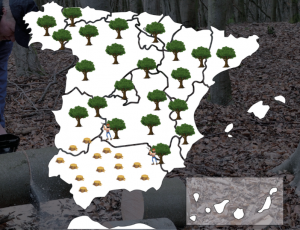 deforestación humanos cambio climático