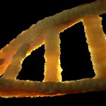 herencia del autismo por genes