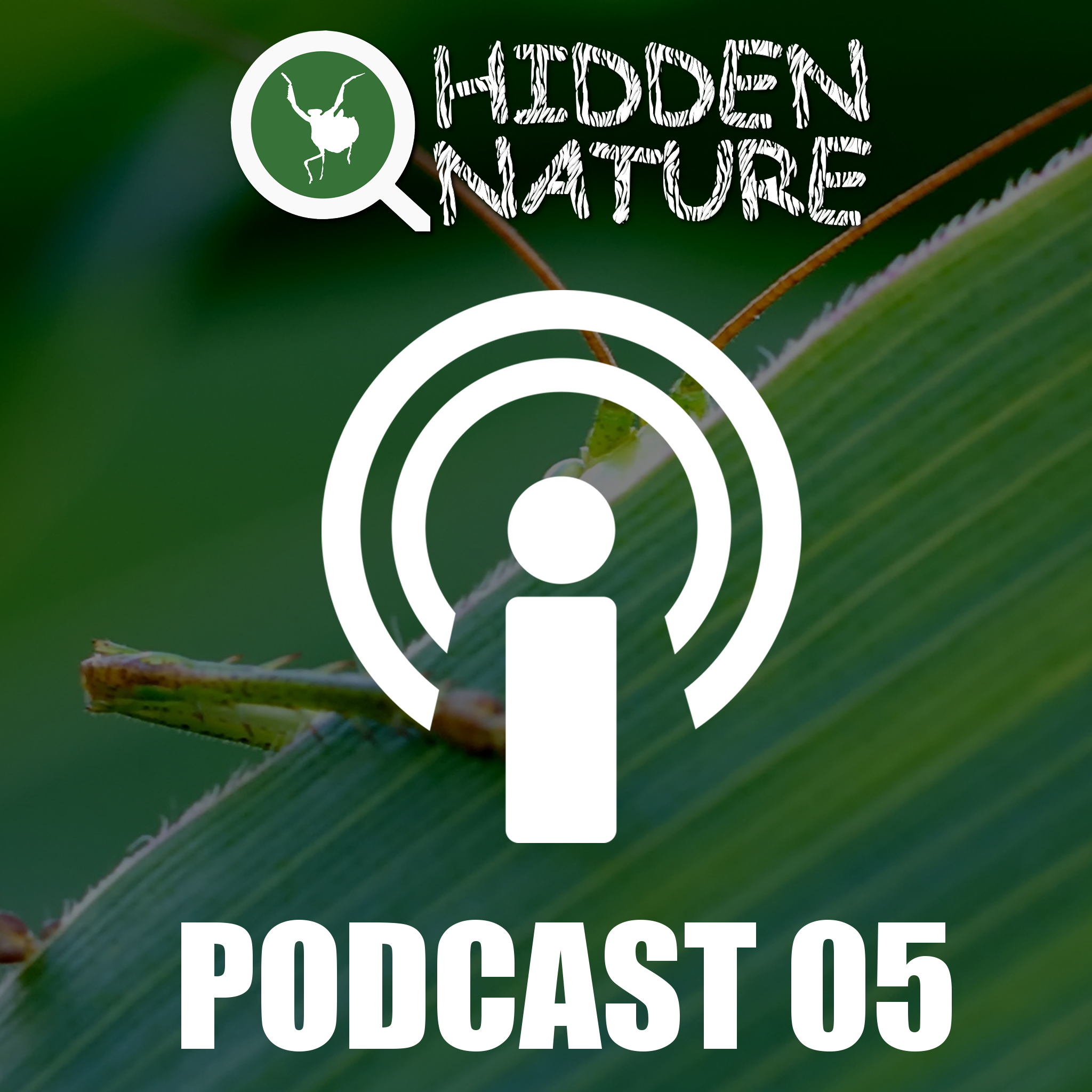 05 – Podcasts Hidden Nature – Hablemos del ARN