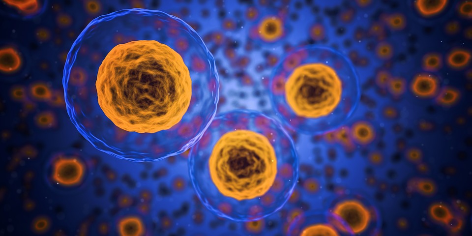 Construir una célula artificial o sintética es uno de los retos a los que los investigadores aspiran.