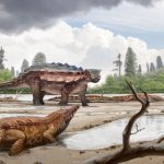 La nueva especie de dinosaurio vivió hace unos 76 millones de años. / ©Andrey Atuchin/DMNS 2017