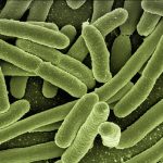 Eficacia de la clorhexidina en la prevención de la bacteriemia