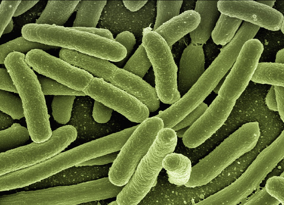 Eficacia de la clorhexidina en la prevención de la bacteriemia