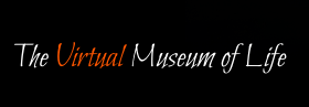 The Virtual Museum of Life