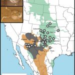 Mapa que muestra el área de simpatría de dos sapos norteamericanos del género "Spea".