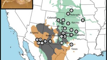 Mapa que muestra el área de simpatría de dos sapos norteamericanos del género "Spea".