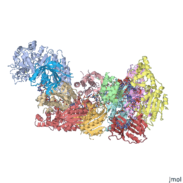 Estructura cristalina de una estructura de un complejo de vigilancia CRISPR guiada por ARN unido a un ADNss objetivo. Mulepati S, Heroux A, Bailey S Science. 2014 Aug 14. pii: 1256996. PMID:25123481