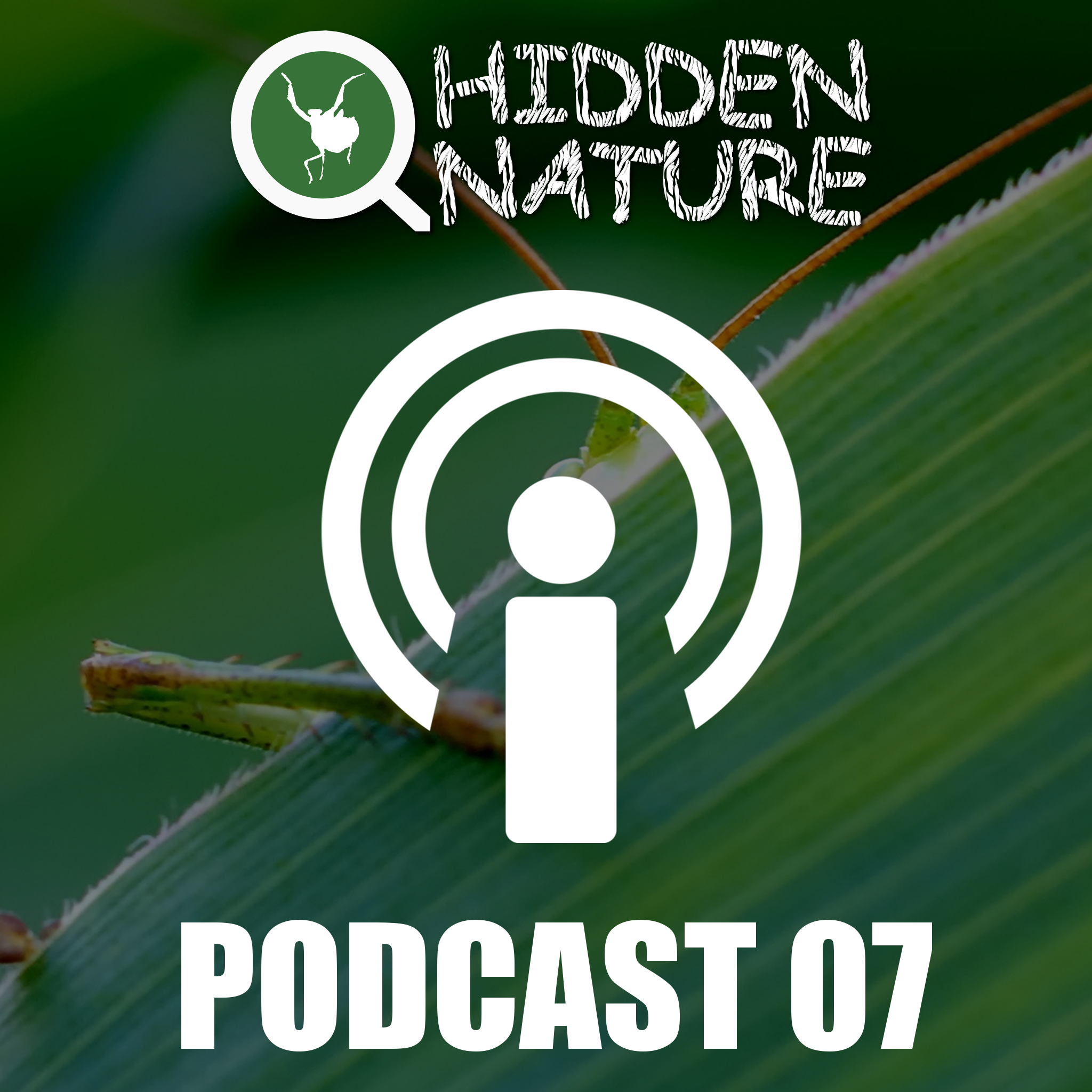 07 – Podcasts Hidden Nature – Epigenética